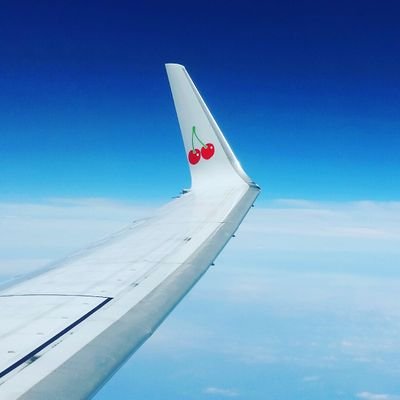 manatoyamato's profile picture. 