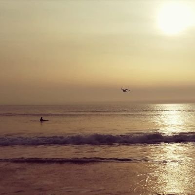 ChargemycarUK's profile picture.