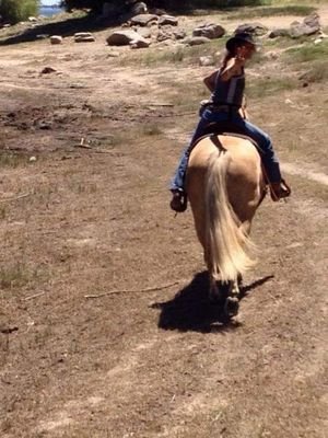 A one person horse rescue helping horses with people problems