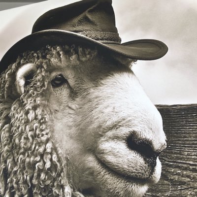 lestitis's profile picture. 