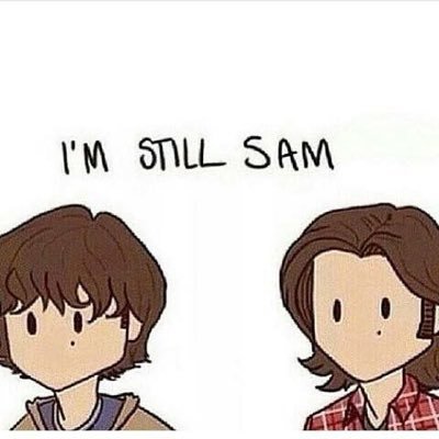 🎉spn