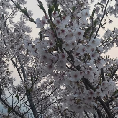 ゆきさんのプロフィール画像