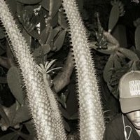 Martin (@linkup73335629) 's Twitter Profile