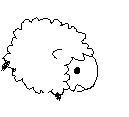 めーさんのプロフィール画像