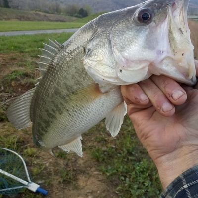 gamer an fishing fool will chase fish to hell an back love the outdoors an love making my videos so follow thanks all https://t.co/4SBpJdSUbi