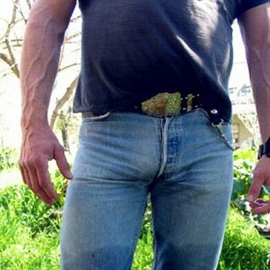 BulgeLevis's profile picture. 