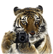 laizenti's profile picture. 동영상,사진,비디오,타임랩스,색보정,Color Grading, Workflow,DI,영화제작,후반작업