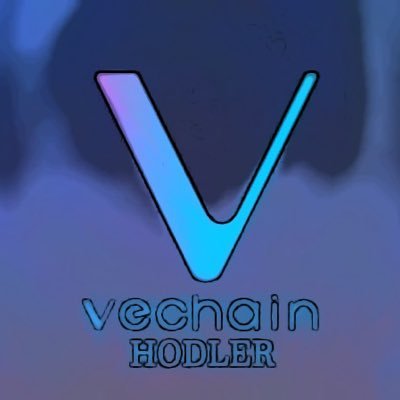 #Vechain Ecosystem $VET  🥷  $INJ $DOJO No official account 💙 https://t.co/SRcvSHM4J6 Army