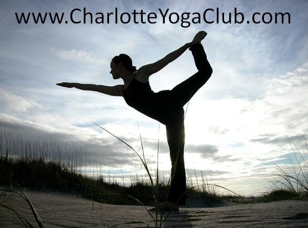 Charlotte Yoga Club