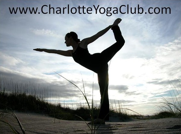 charlotteyoga's profile picture. Yoga Club offers many community yoga class and workshops, in addition to a 200 / 500 HR YA RYT & 500 / 800 HR Yoga Therapy Teacher Taining