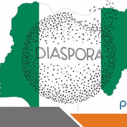 Diaspora Reporters Profile