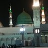 Mahmoud24376885's profile picture. 