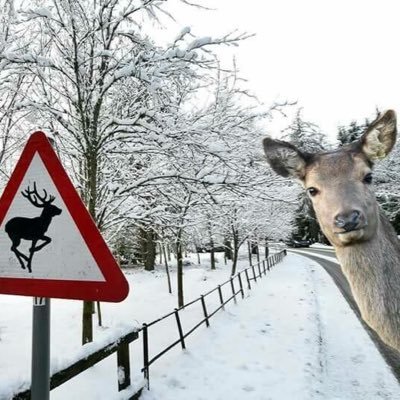 us601's profile picture. 本物になる。世の中の事や役に立つ様な情報をつぶやきます！基本的にフォローは返しします^ ^ ※業者の方はご遠慮します。