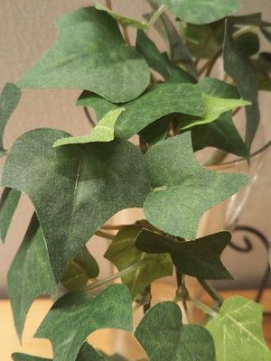 BBB22388834's profile picture. 