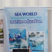 Sea World, Gold Coast, Australia experiences (@seaworldau) 's Twitter Profile