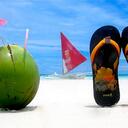 Terry McAvoy - @phoebemcavoy - Twitter