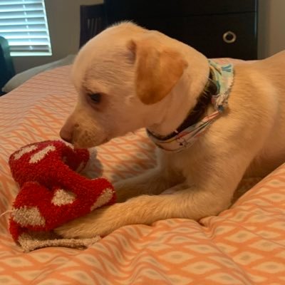 YtM3m3's profile picture. I like cups and socks