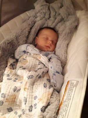 caneyadam's profile picture. Full time proud father to Austin, Abigail, & Amara 💚
Part time Go Transit Operator.