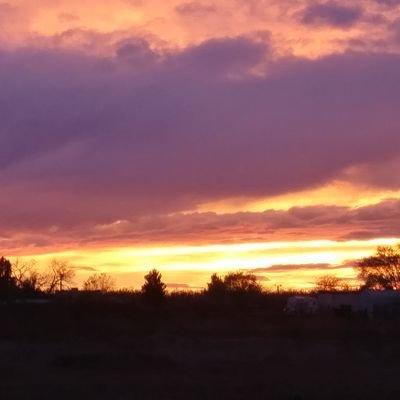 Jake66188584's profile picture. 