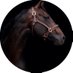 MA (@mimialshmri7) Twitter profile photo MA (@mimialshmri7) Twitter profile photo