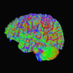 Cognitive and Behavioral Neuroscience at UMiami (@cogneuroumiami) Twitter profile photo Cognitive and Behavioral Neuroscience at UMiami (@cogneuroumiami) Twitter profile photo