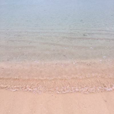 ペルじぃさんのプロフィール画像