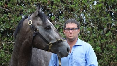 Contact: saffiejoseph@yahoo.com Thoroughbred Trainer at Gulfstream Park. Account managed by @artilespascualf / @videohipico