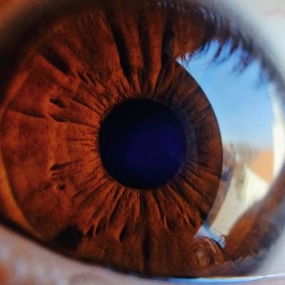 AllaCaro's profile picture. Fuck you 🖕🏻