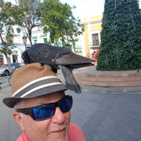 Angel Lopez🇵🇷🇺🇲 (@gardylopez2013) 's Twitter Profile Photo Angel Lopez🇵🇷🇺🇲 (@gardylopez2013) 's Twitter Profile Photo