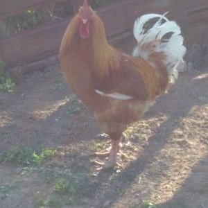 Kenan (@Kenan45802478) | Twitter