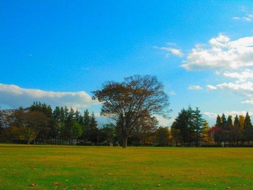 Japan_Cars's profile picture. From the States to Kenya. Love the nature of Kenya. Also, Love to drive with my Japanese car.