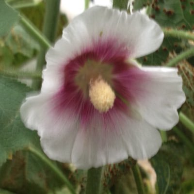 PhillipComeau5's profile picture. Retired Architect / Professor enjoying life with my wonderful family and friends.