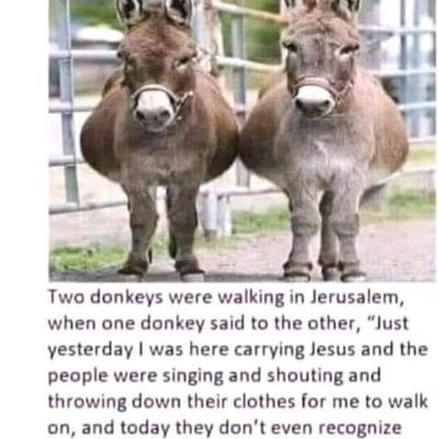 AlanRix7's profile picture. Sport Politics Local News World News