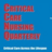 Critical Care Nurse