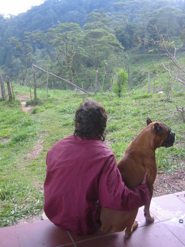 dantemario's profile picture. M.V. Esp. Sanidad Animal.