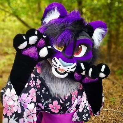 Tryyn the Crazy Cubing Kittyさんのプロフィール画像