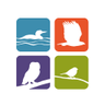 WPBO's profile picture. Located just north of Paradise, Whitefish Point Bird Observatory is a program of Michigan Audubon and a premier migration hot-spot in Michigan.