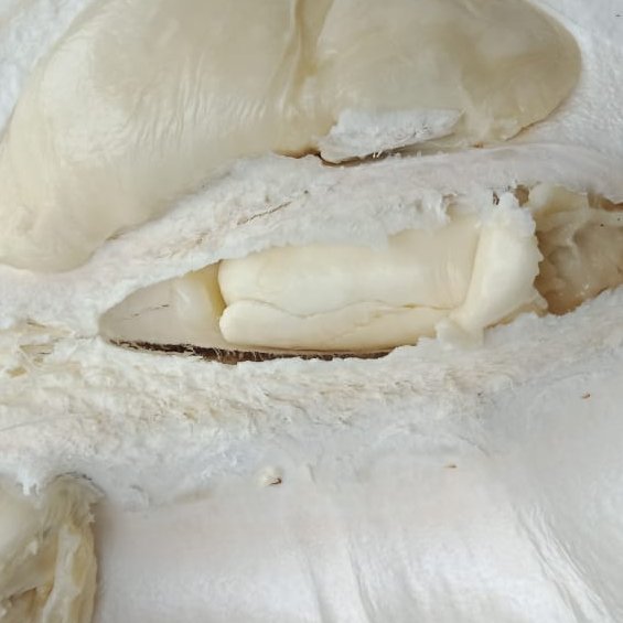 fiandra_fian's profile picture. Laki laki