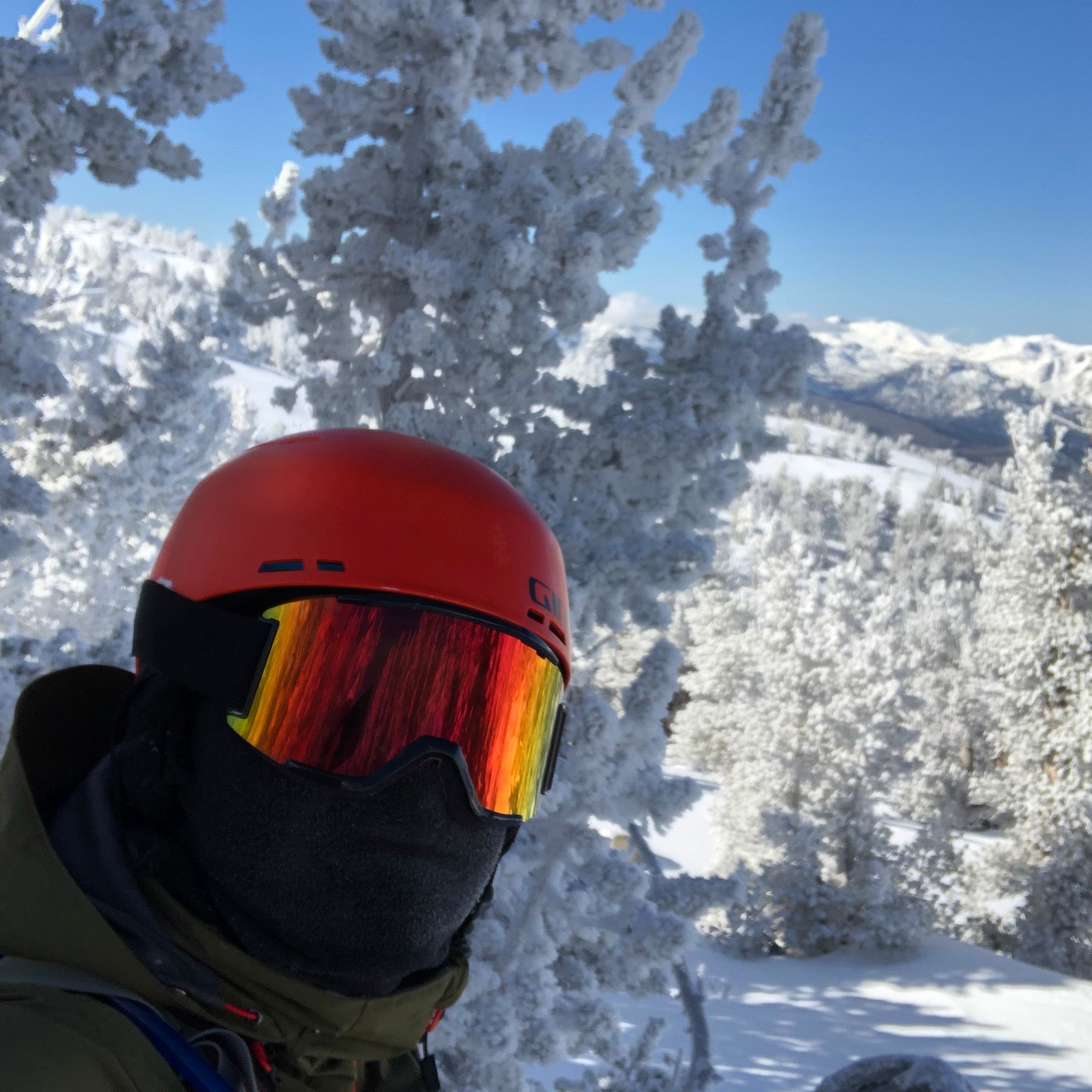 cryptocabbages's profile picture. Stuff