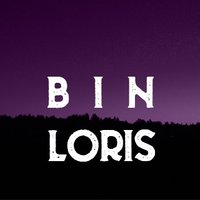 Bin_Loris (@bin_learnin) 's Twitter Profile