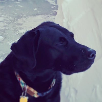 HeathBarSD's profile picture. UCI Grad. Mizzou Mom 🐯 Wife of USN Veteran. Garage gym CrossFitter. Favorite Robot: Bender. Favorite NHL Mascot: Chance. Currently fighting TN MpBC 🦄