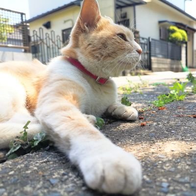 R1さんのプロフィール画像