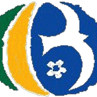 The Bournemouth Twit (@bmthtwit) Twitter profile photo