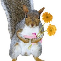 squirrelhugger(@squirrelhugger) 's Twitter Profile Photo