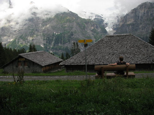 guypursey's profile picture. 