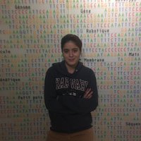 Yasmine Amrani, Ph.D. (@yasmineamrani10) 's Twitter Profile Photo Yasmine Amrani, Ph.D. (@yasmineamrani10) 's Twitter Profile Photo