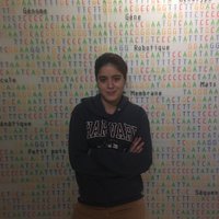 Yasmine Amrani, Ph.D.(@YasmineAmrani10) 's Twitter Profile Photo