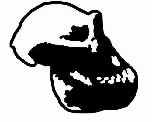 オーストラ・マコンドー公式アカウントです。公演情報、WEB更新等呟いて参ります。