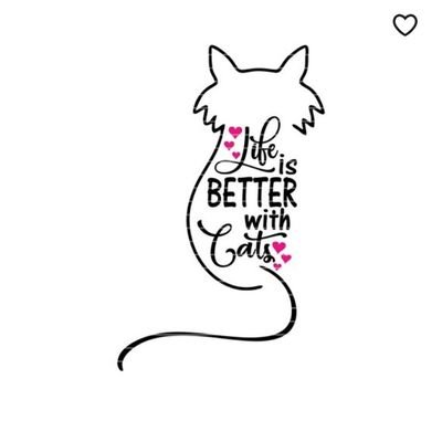 mariafleitas8's profile picture. Take it easy!!