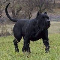 Daniel Torres García (@danielt44026342) 's Twitter Profile